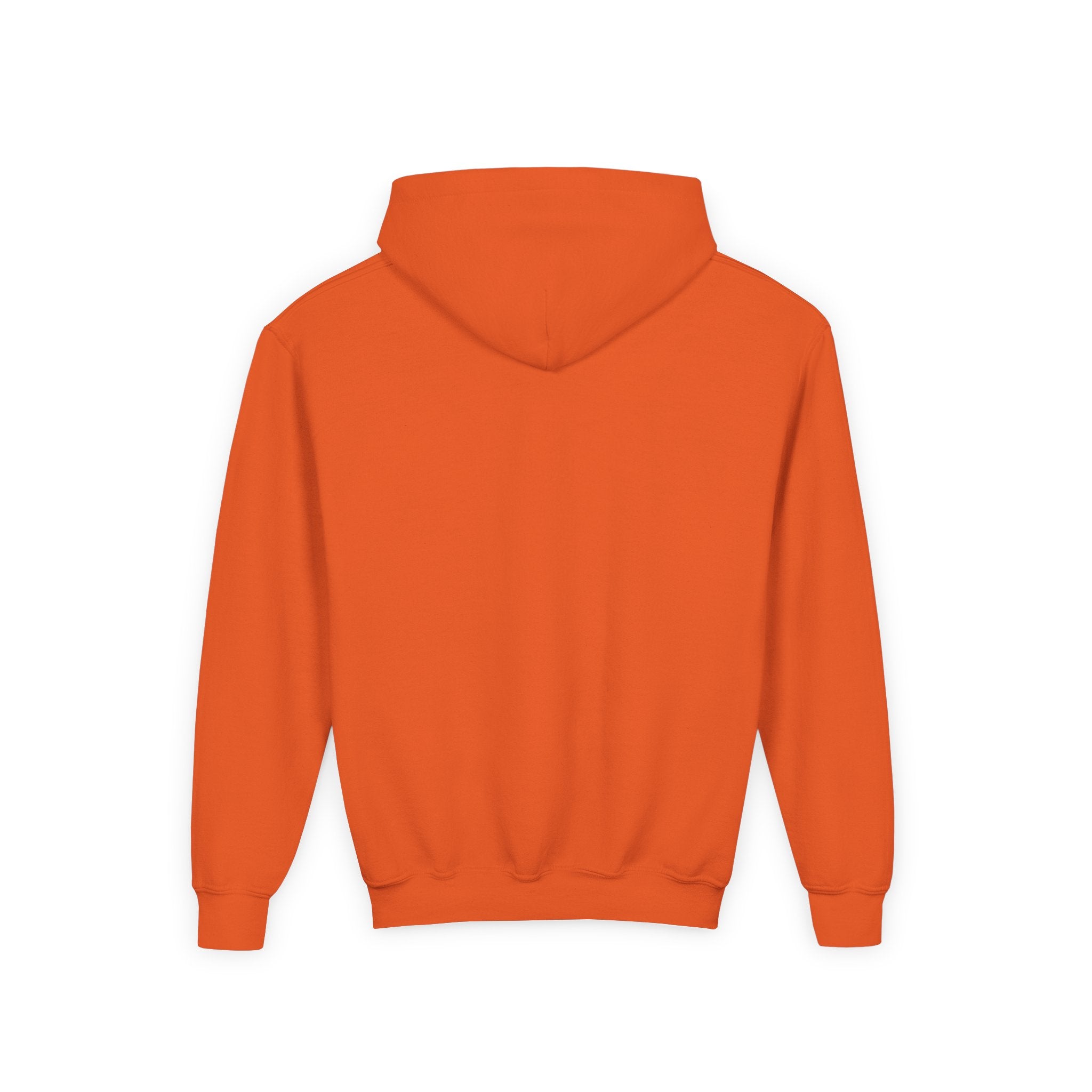 Youth Heavy Blend Hooded Sweatshirt (New)