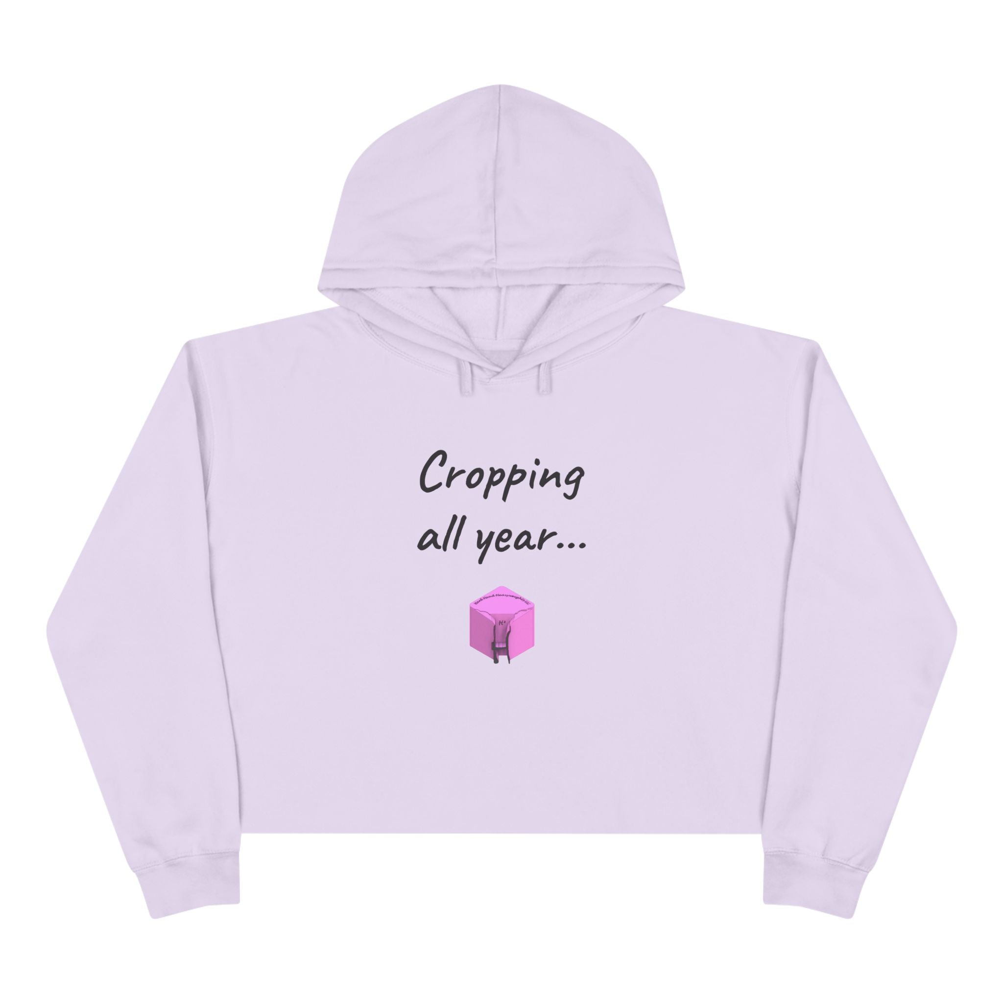 Crop Hoodie (New)