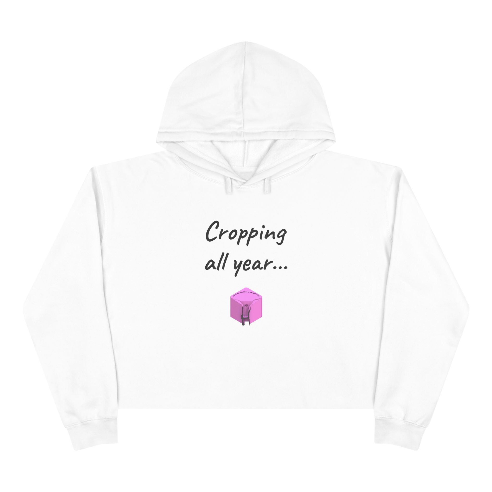 Crop Hoodie (New)