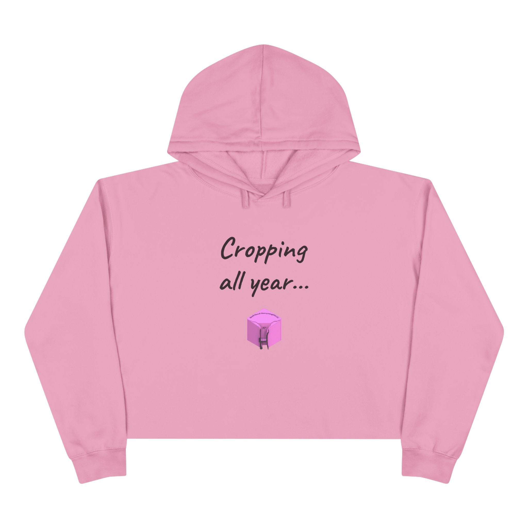 Crop Hoodie (New)