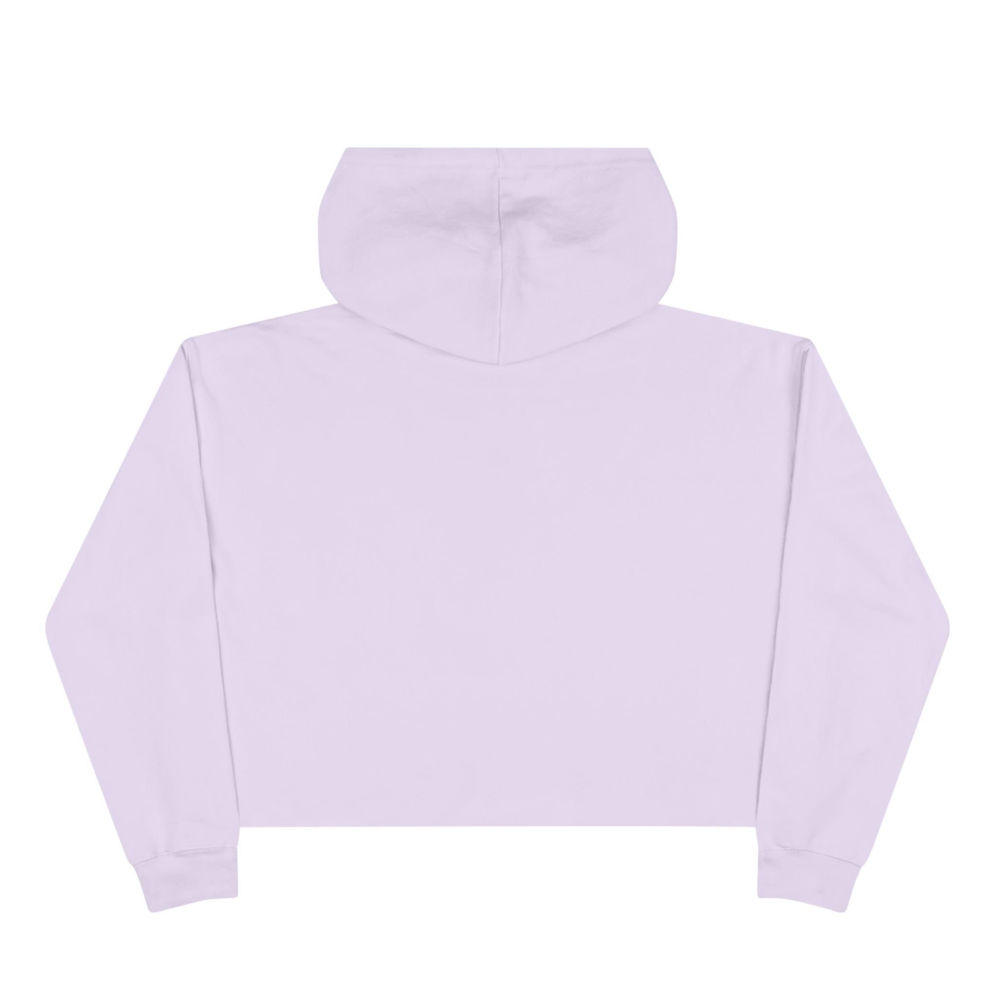 Crop Hoodie (New)
