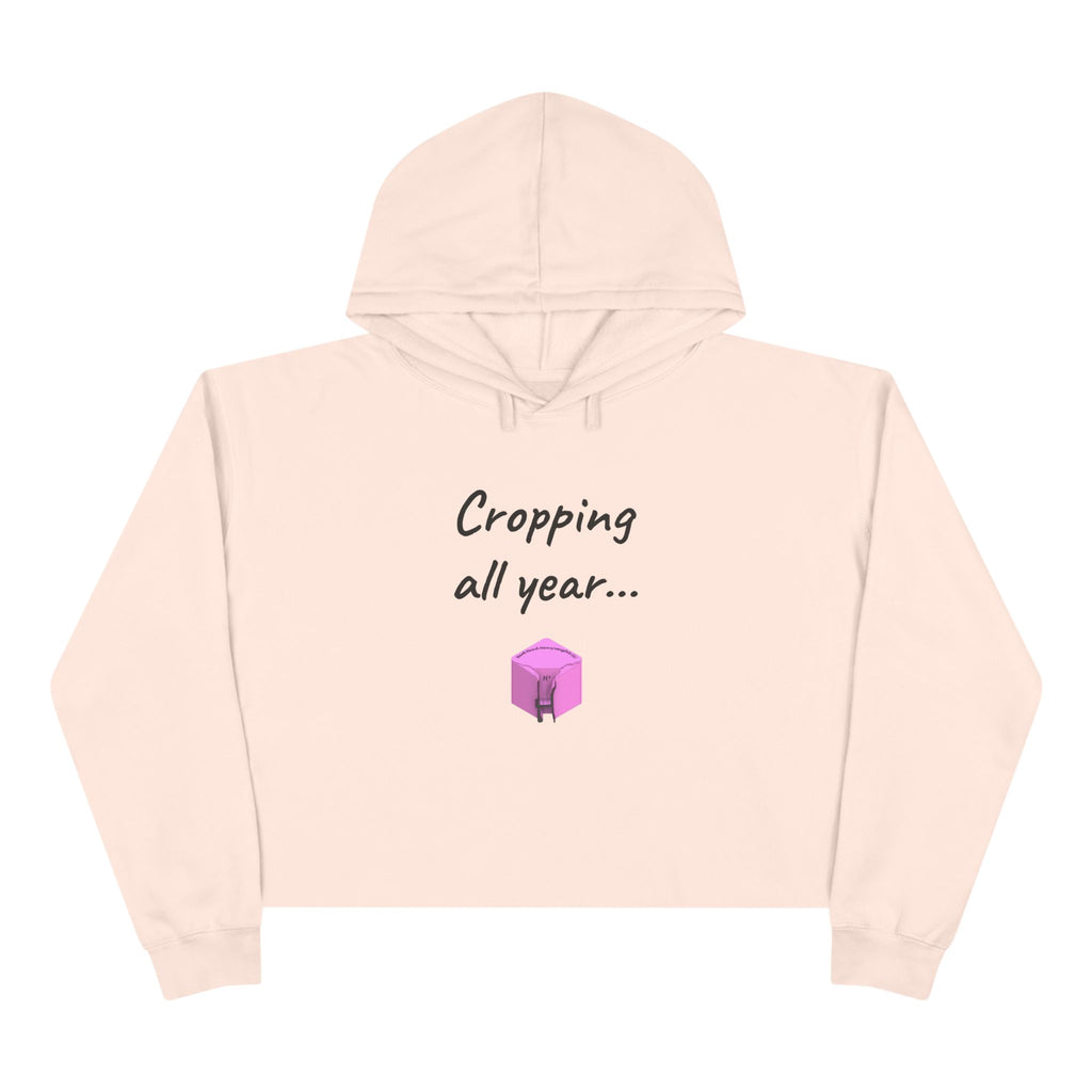 Crop Hoodie (New)