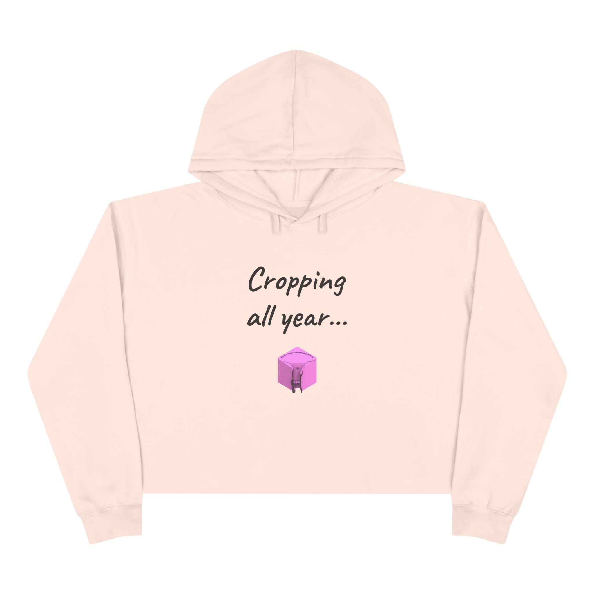 Crop Hoodie (New)