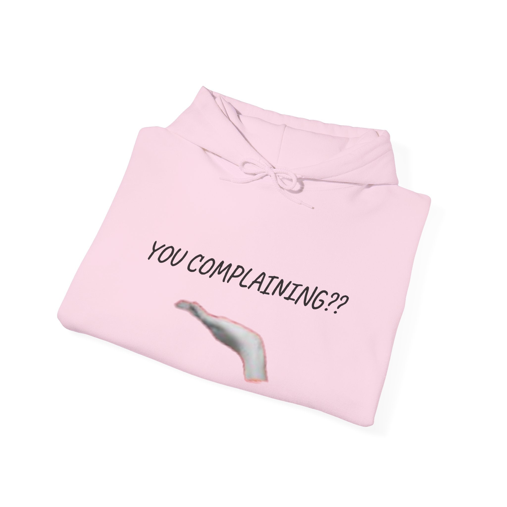 Complaining Unisex Heavy Blend™ Hooded Sweatshirt (New)
