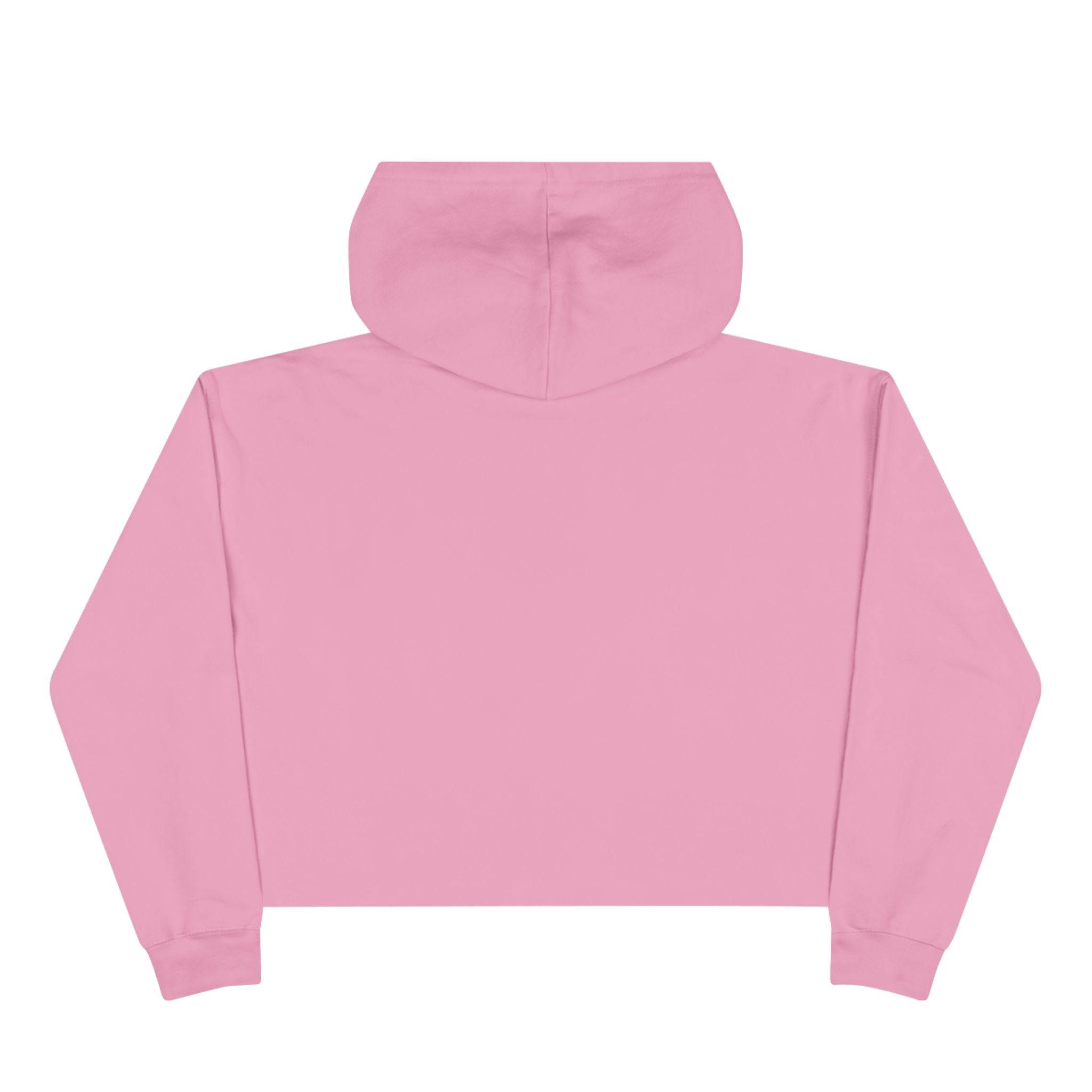Crop Hoodie (New)